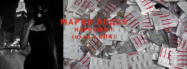 spice Абинск